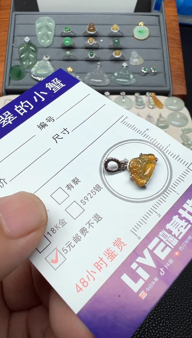 颈饰银S925镶嵌翡翠（22号链接）纯天然A货缅甸翡翠佛公吊坠