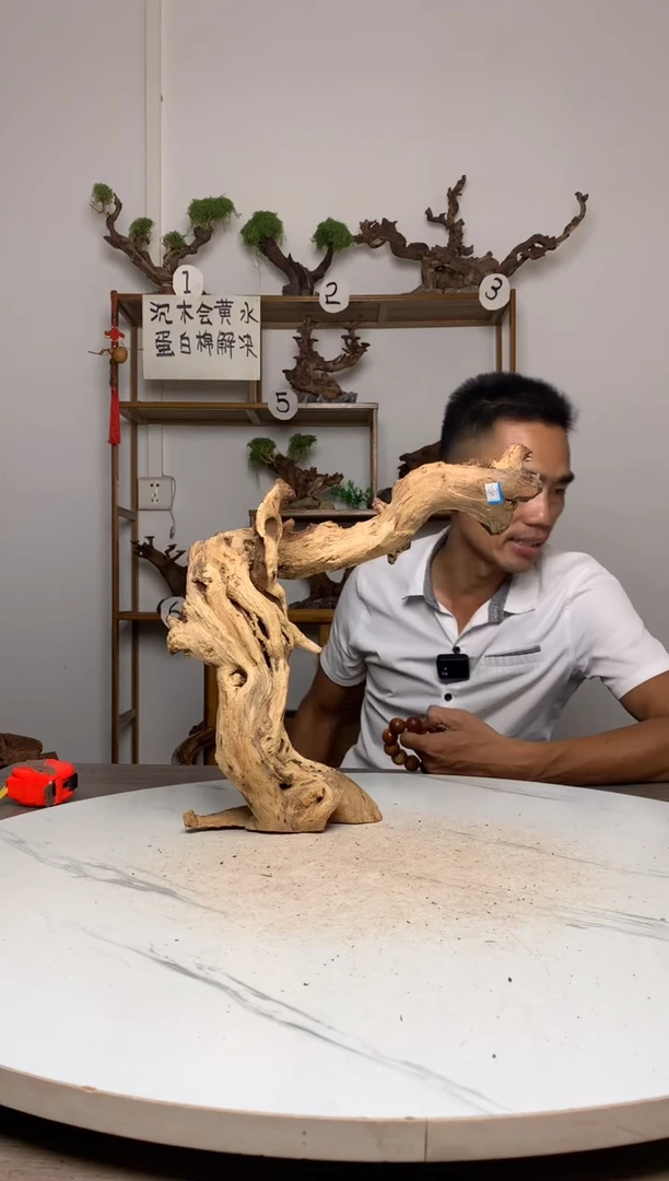 王***子鱼缸造景沉木摆件