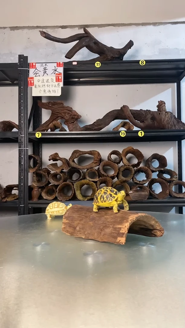 栀*鱼缸爬宠造景素材442