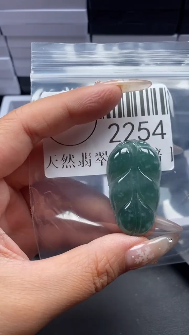 颈饰未镶嵌翡翠2254