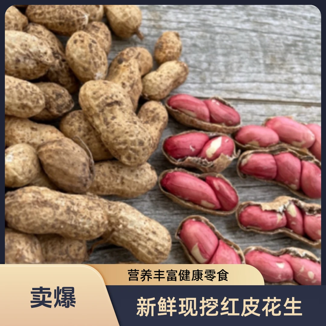 试吃【水果花生】新鲜现挖带壳湿农家自种红皮生花生鲜生鲜花生