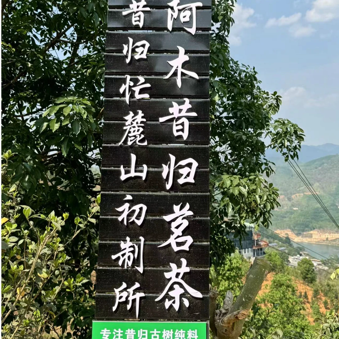 【稀有高货】2023年昔归忙麓山古树普洱茶散茶（生茶）