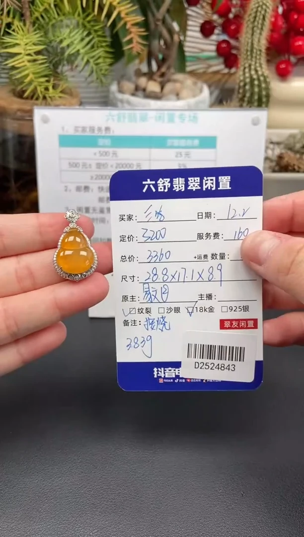 颈饰18K金镶嵌翡翠?**陈D2524843