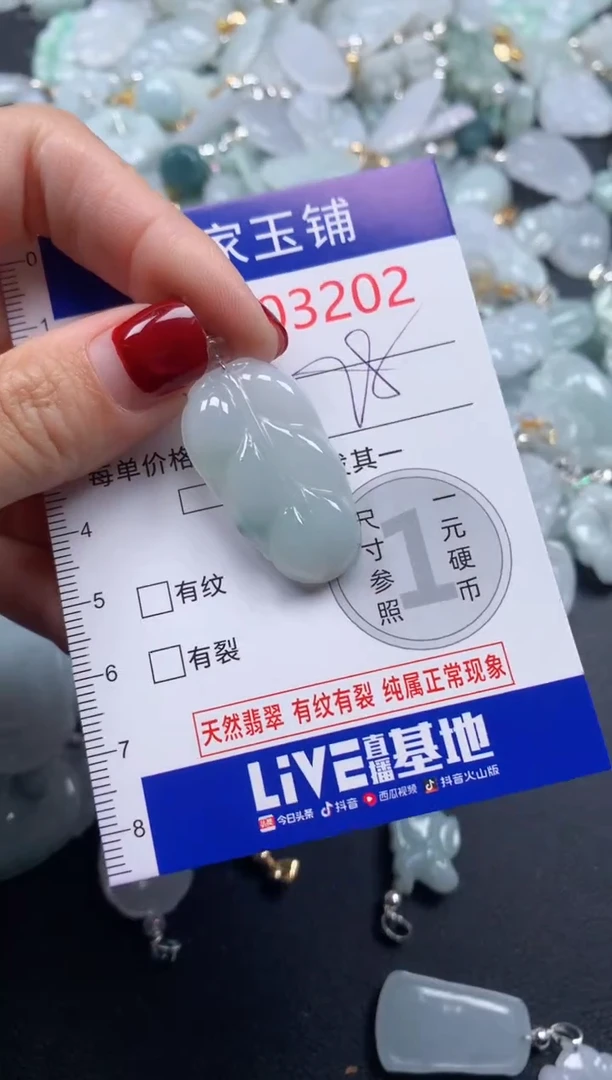 颈饰未镶嵌翡翠3202