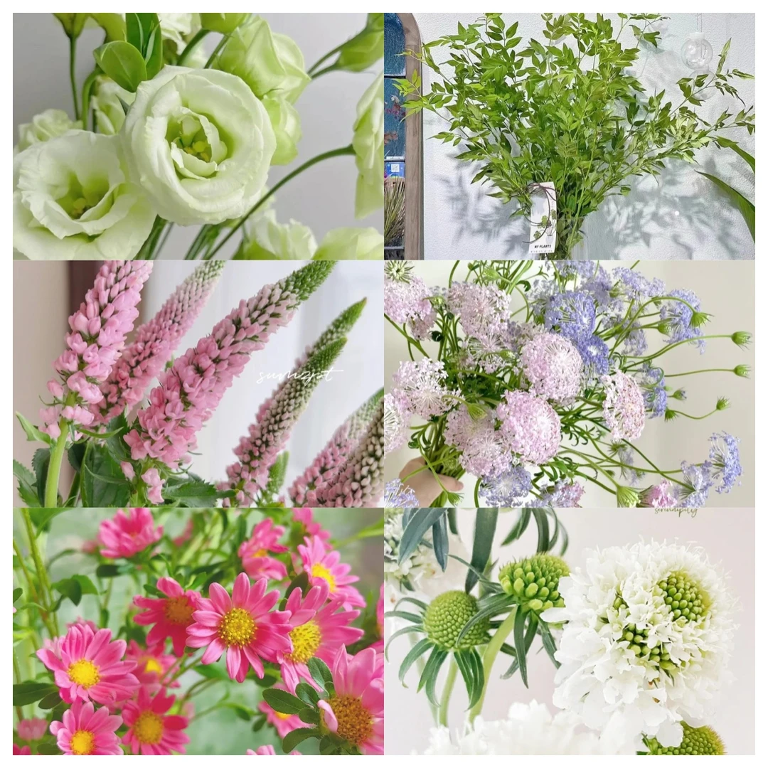 【原创花束 鲜花组合套餐 一单顺丰包邮】