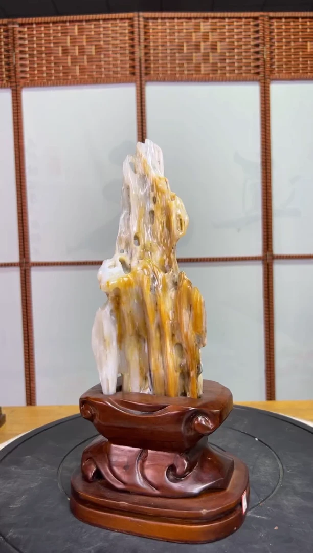 未镶嵌珠宝奇石硅化玉4