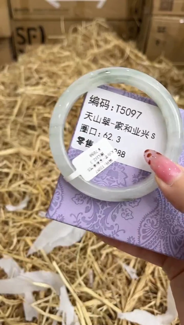 未镶嵌手镯石英质玉T5097