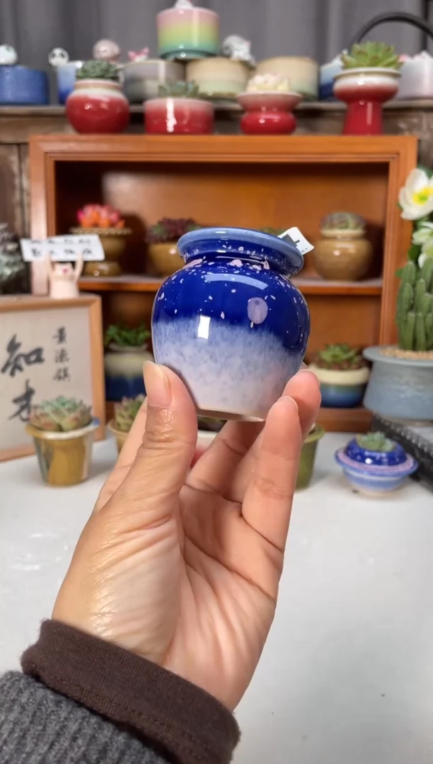 瓷片241知木小芳花盆直播编号