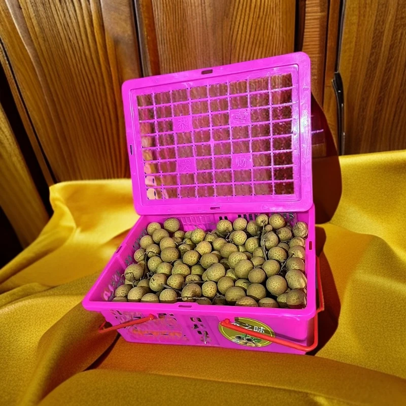 【龙眼礼盒】约5斤一盒龙眼新鲜清甜
