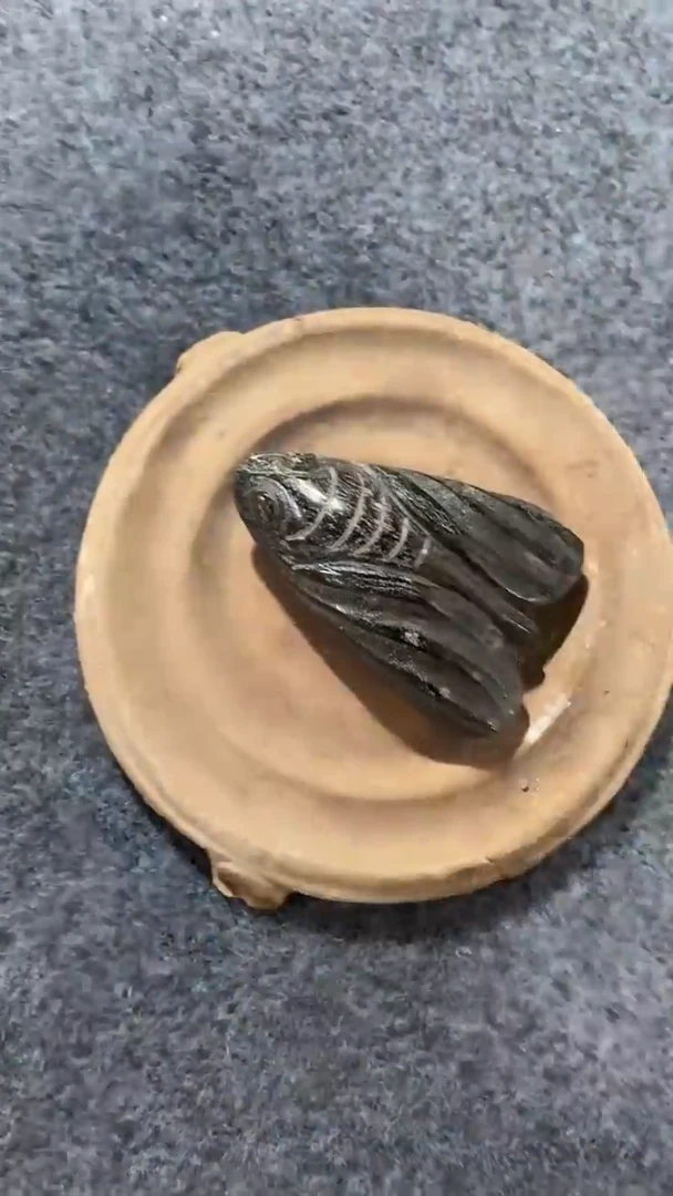 【闪购商品】瓷片手工，手绘，陶器