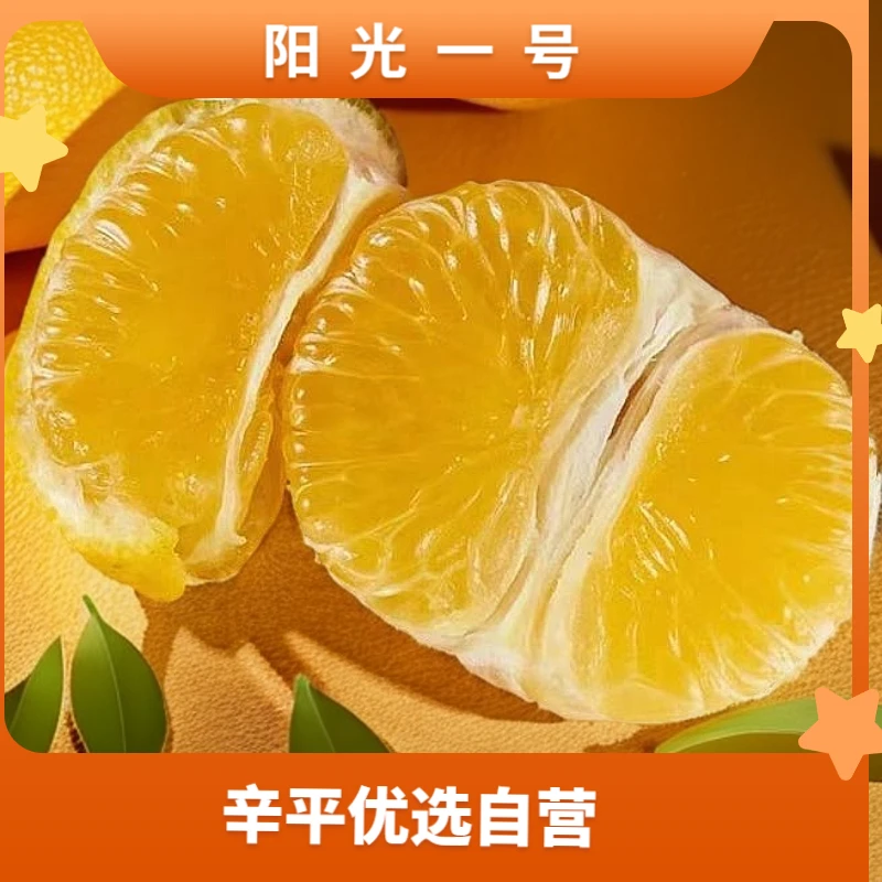 【辛平供应链自营】云南高山阳光一号橘柚爆甜多汁带