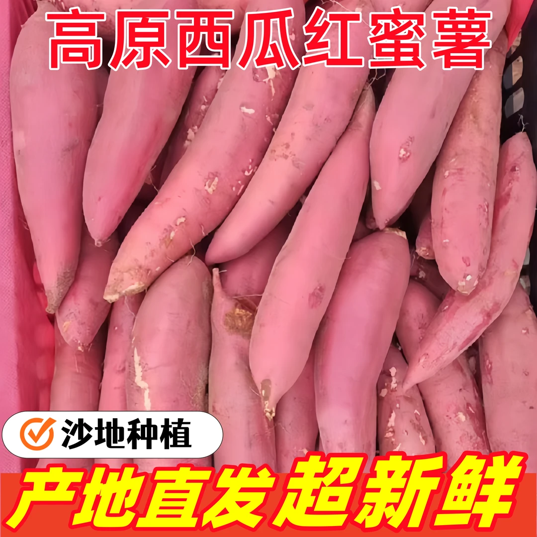农家蜜薯正宗新鲜西瓜红红薯香薯黄心糖心地瓜山芋沙地红心番薯