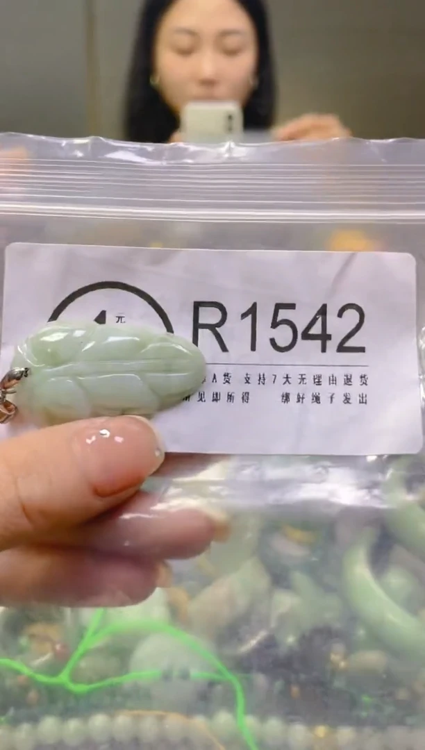 翡翠未镶嵌颈饰/R/翡翠A货一图一物