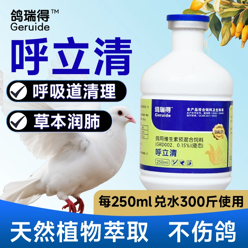 呼立清鸽子呼吸道清理草本清肺伸脖子喘咳嗽黏液