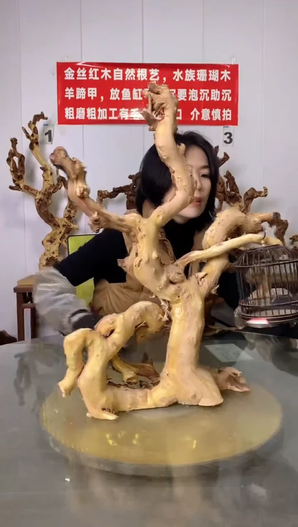 【闪购商品】木金丝红木 羊蹄甲