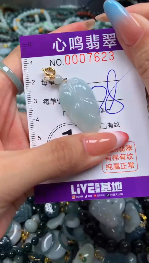 翡翠未镶嵌颈饰闪购007623