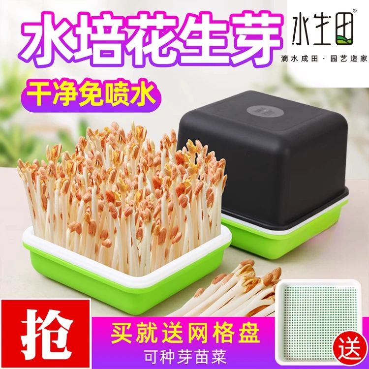 种花生芽发芽水培箱种植盒专用盘豆苗育苗盆种子籽机豆芽苗菜