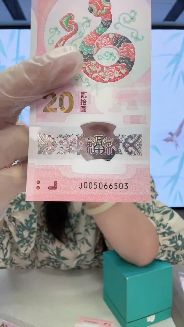 塑料蛇钞005066503