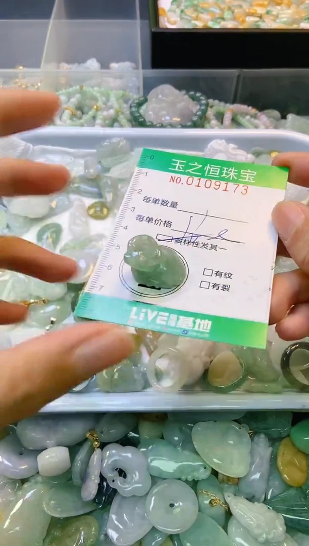 翡翠未镶嵌颈饰闪购0109173多样性发其一
