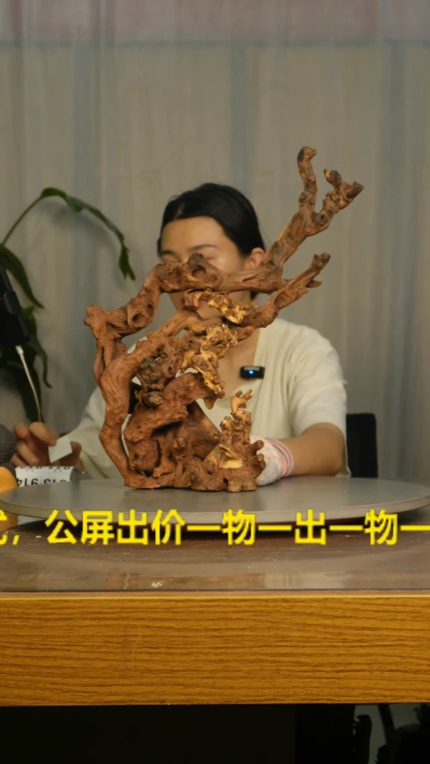 木丁*生云南红河金丝红905