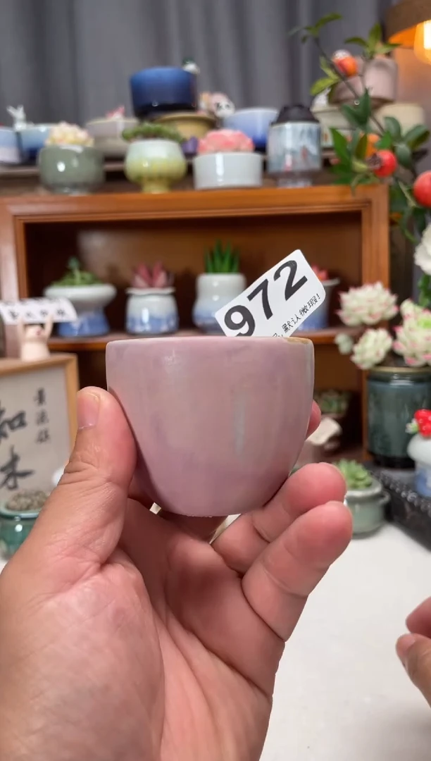 瓷片972知木小芳花盆