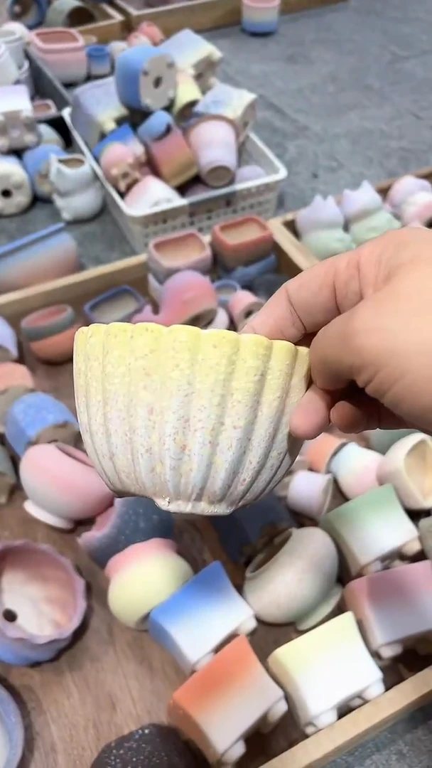 茵茵的欧气花园9*6