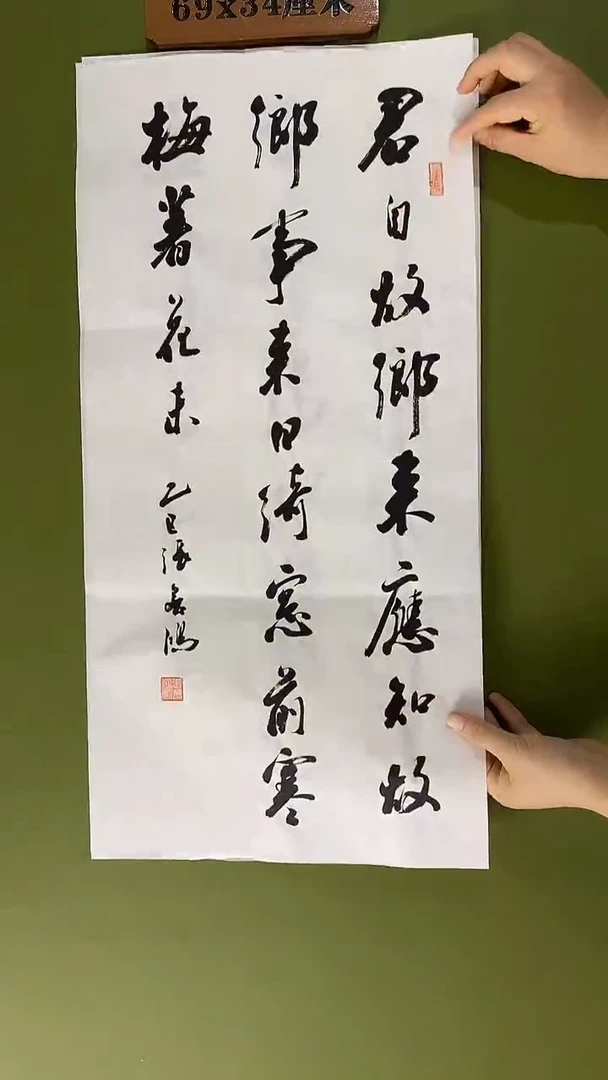 书法书法 张若鸿 尺寸69cm*34cm