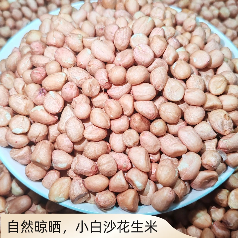 2024年新晾晒脱壳花生米小白沙花生小颗粒花生精选可榨油可吃可种
