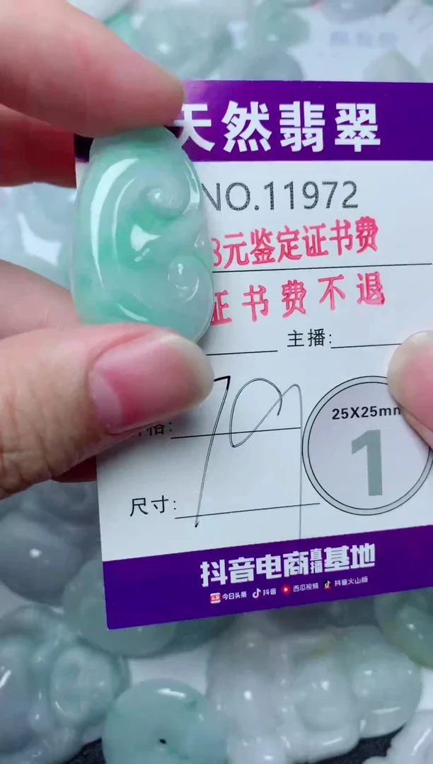 翡翠未镶嵌吊坠(不含链)972