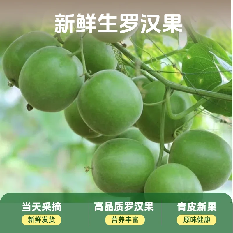 新鲜罗汉果广西桂林永福罗汉果干果可搭配胖大海金银花泡茶甘甜