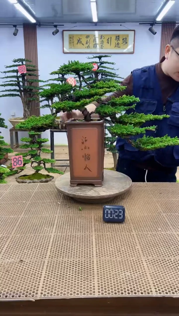 无花朵000000000000