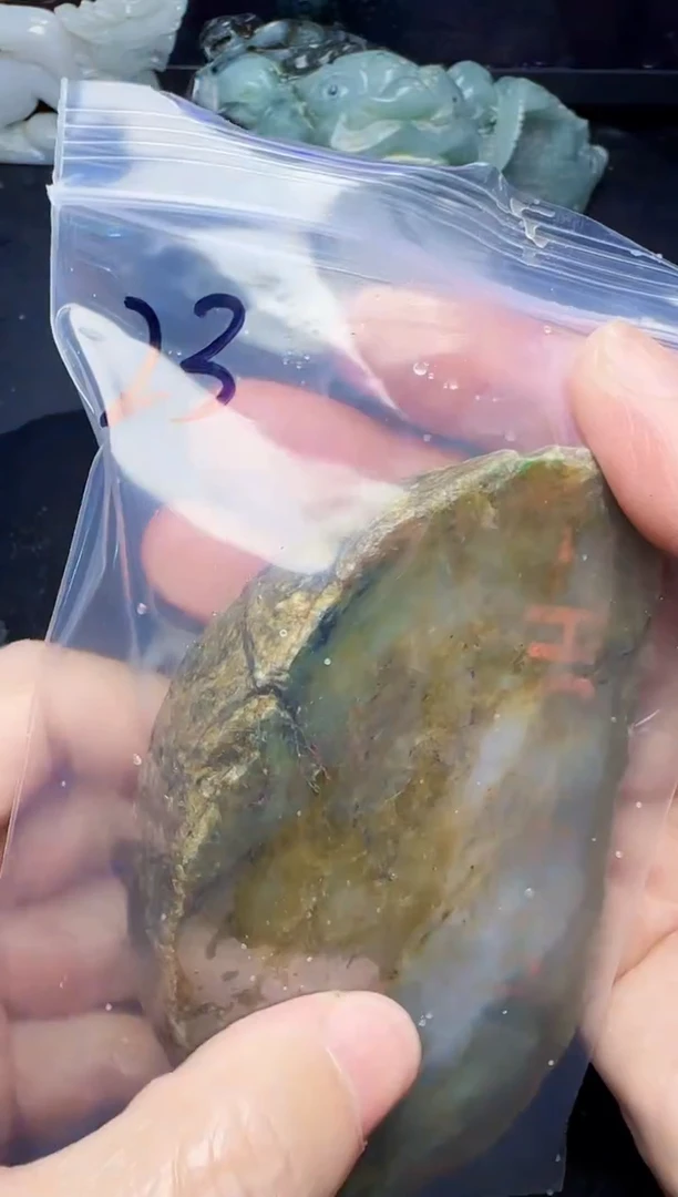 颈饰未镶嵌翡翠管*23