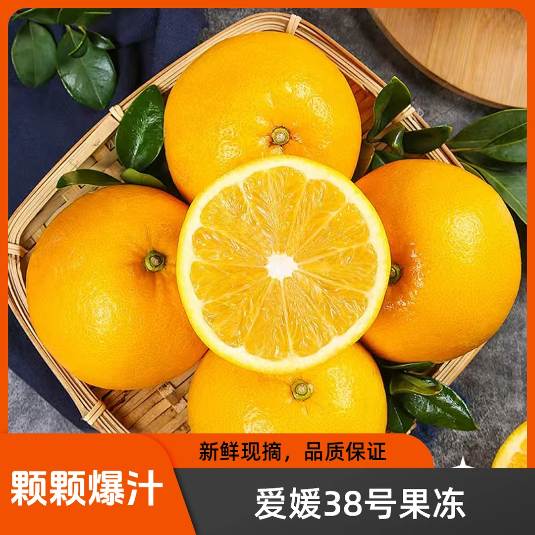 四川爱媛38号果冻橙汁水充足净重4.5斤+ 单果270g+