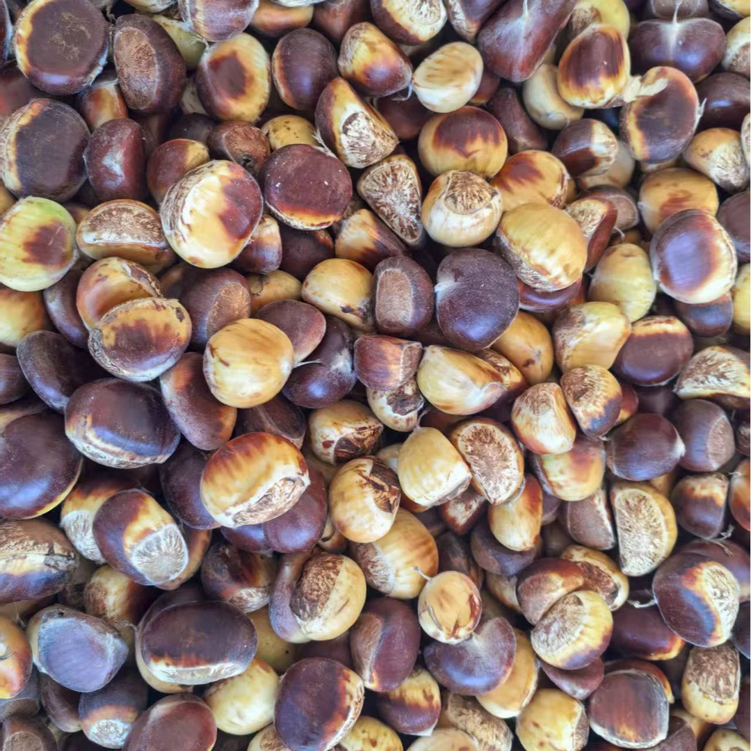 【老黄专属】板栗之乡新鲜板栗现打带壳红板栗5斤3斤【申通包邮】