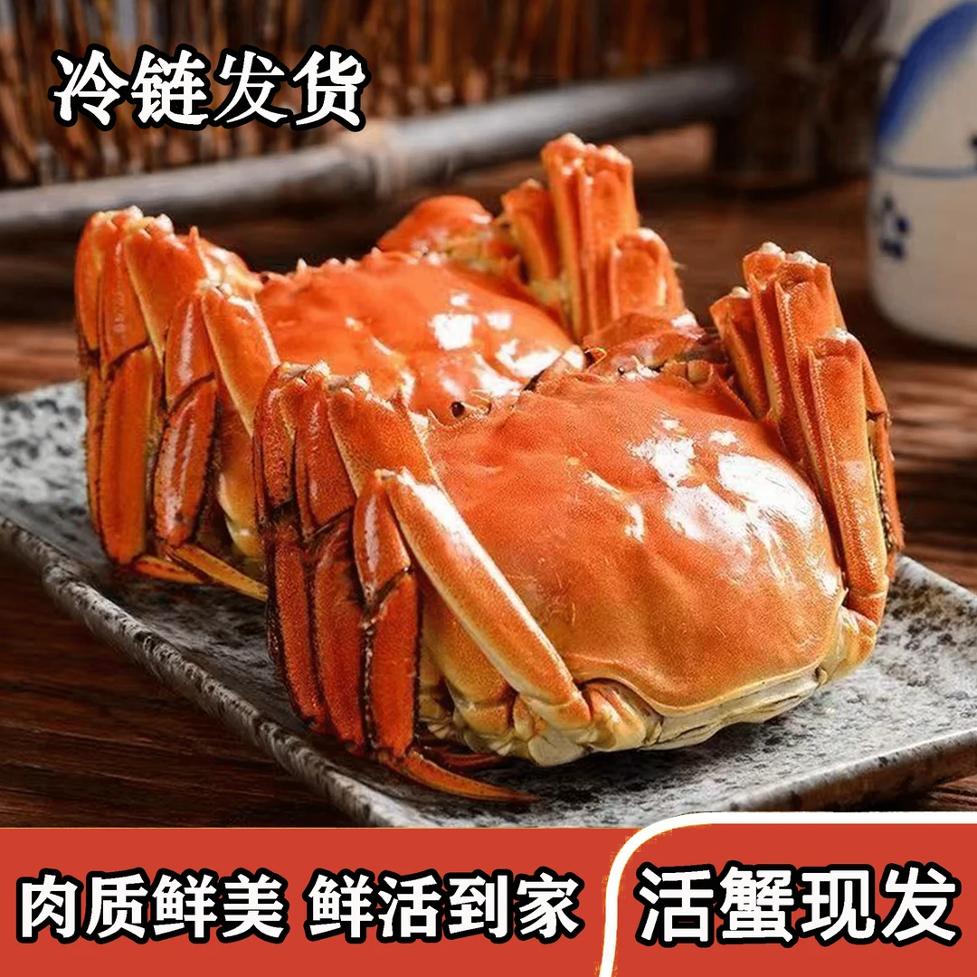 【活蟹】4.0-3.7两全母蟹10只冷链发货江苏固城湖精品大闸蟹海鲜河蟹