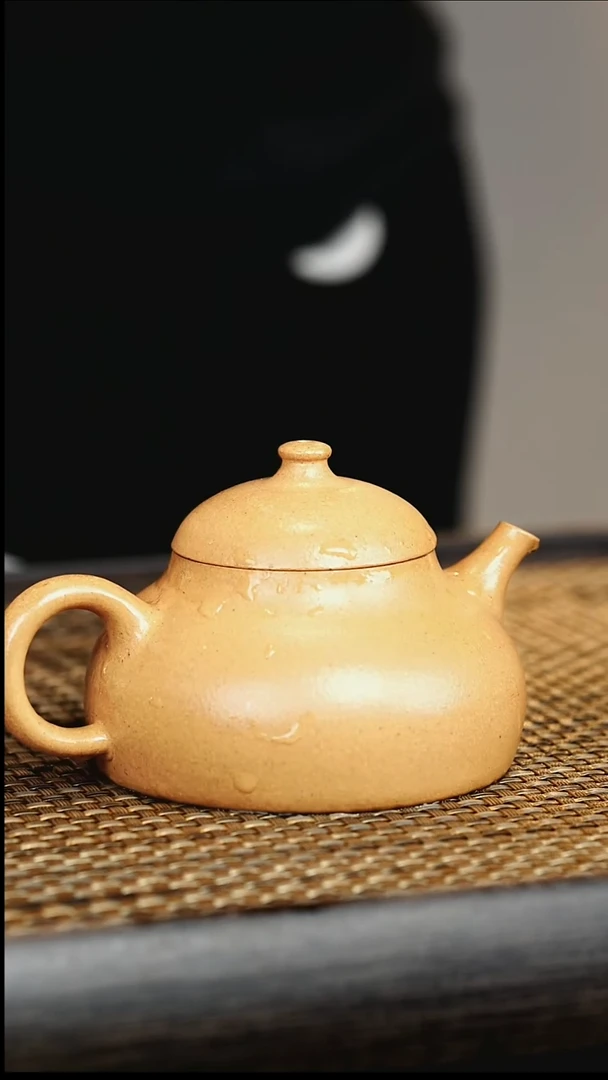茶壶紫砂宜兴紫砂壶      15