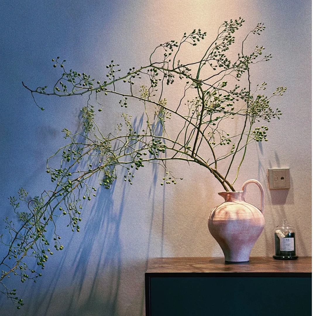 【山归来】可做干花水培植物室内绿植鲜切枝斗南水养吊钟马醉木平替