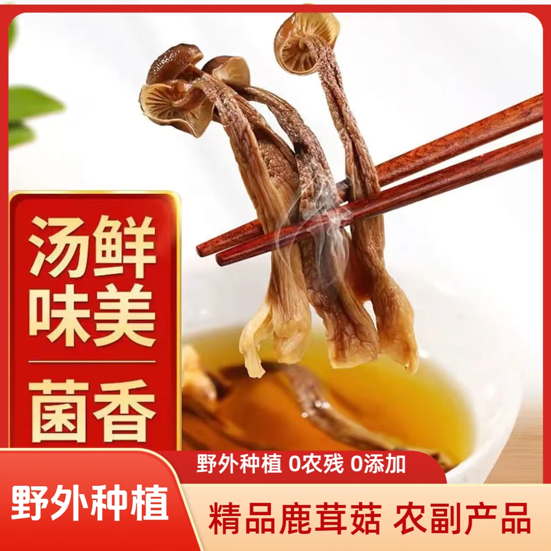 精品鹿茸菇 农副产品