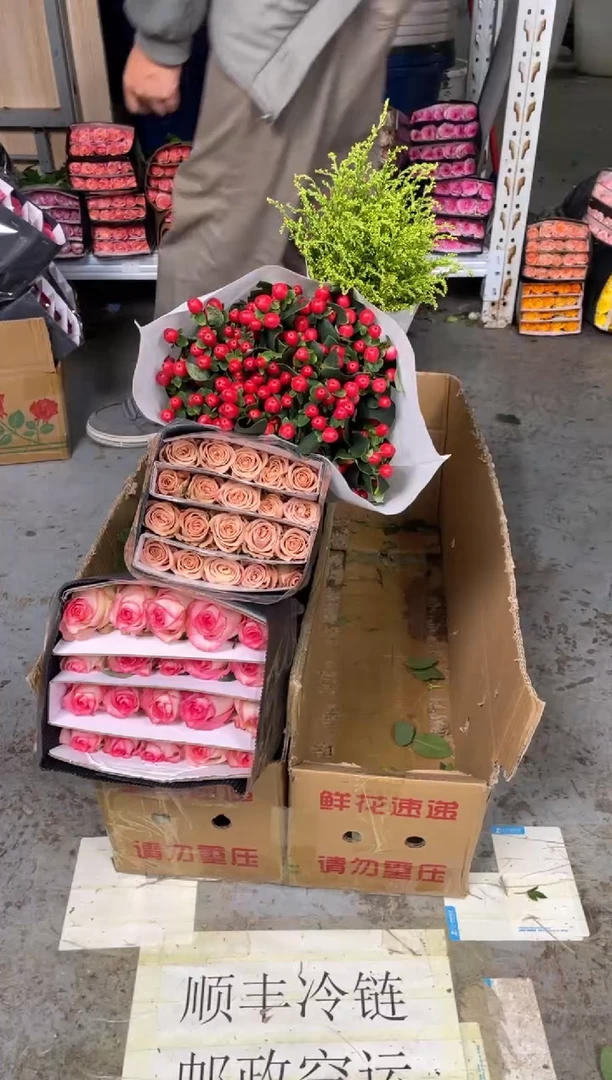 爱莎20枝+卡布20枝+红豆1扎+黄莺