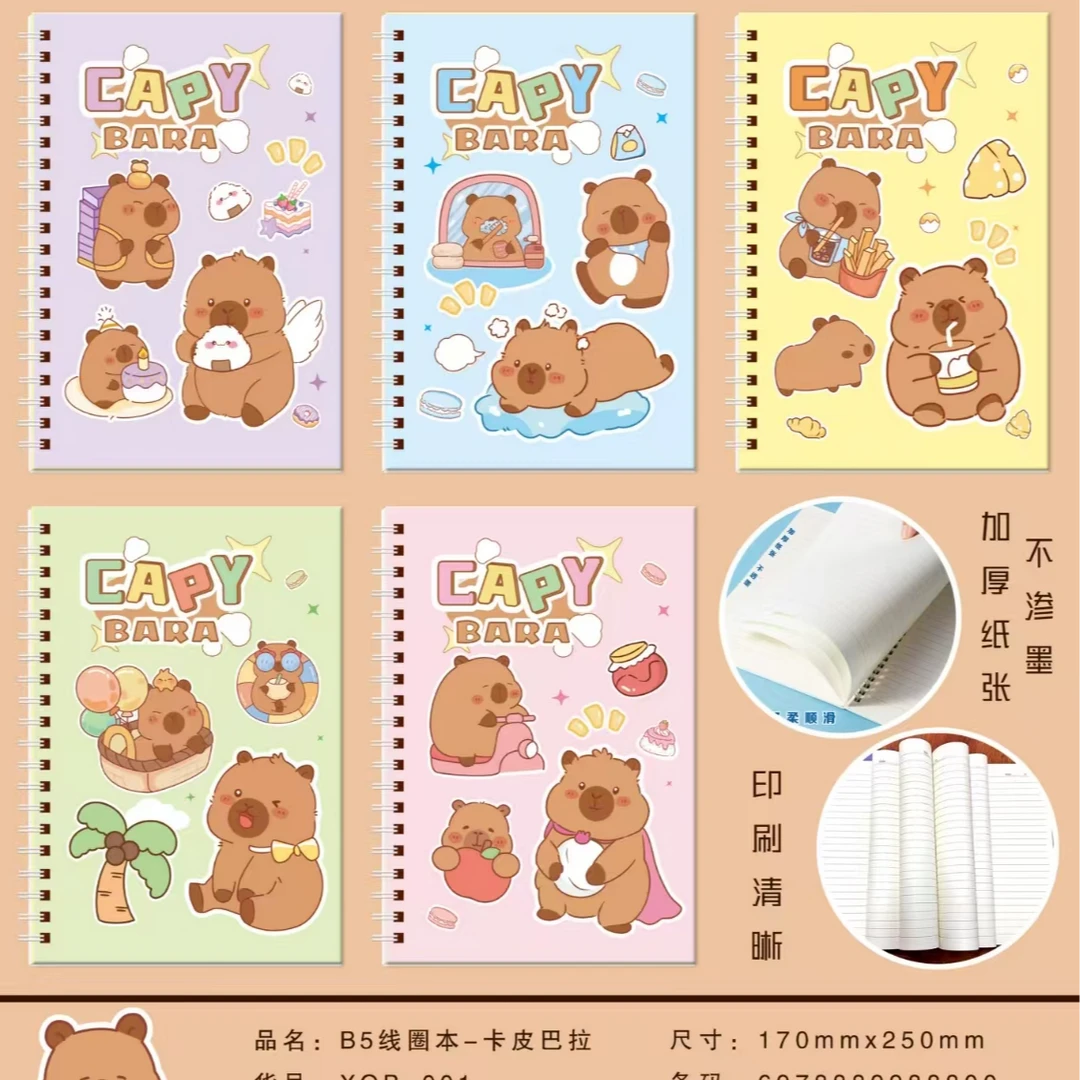 B5线圈本笔记本学生记事本高颜值简约本学生办公用（混发）