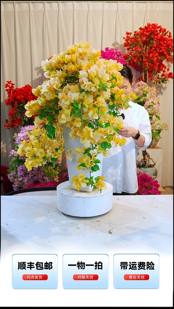 大部分开放少量花苞好好黄