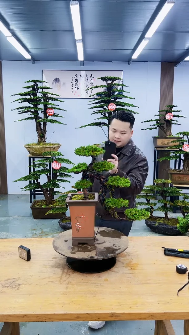 以实际为准0000000