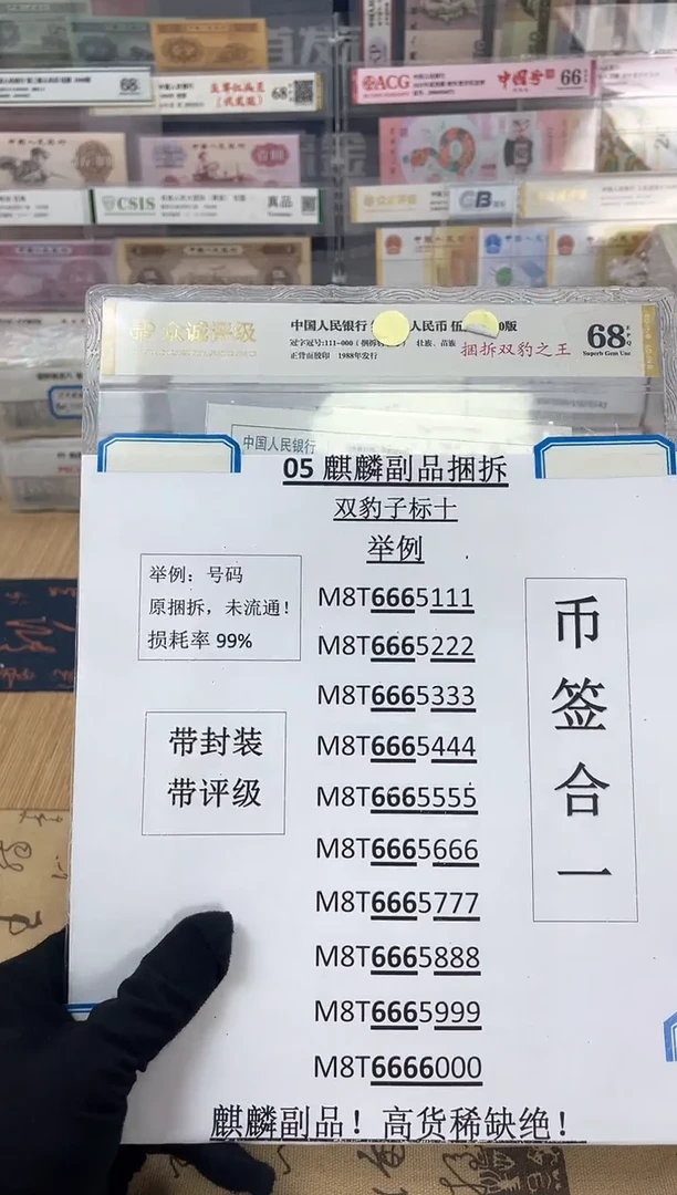 双豹子【捆拆双豹之王】