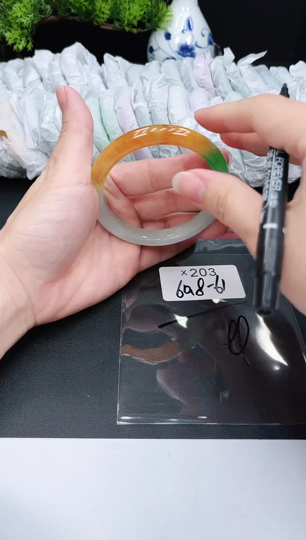 未镶嵌手镯翡翠203