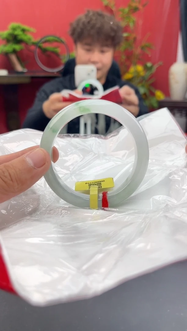 未镶嵌手镯翡翠2