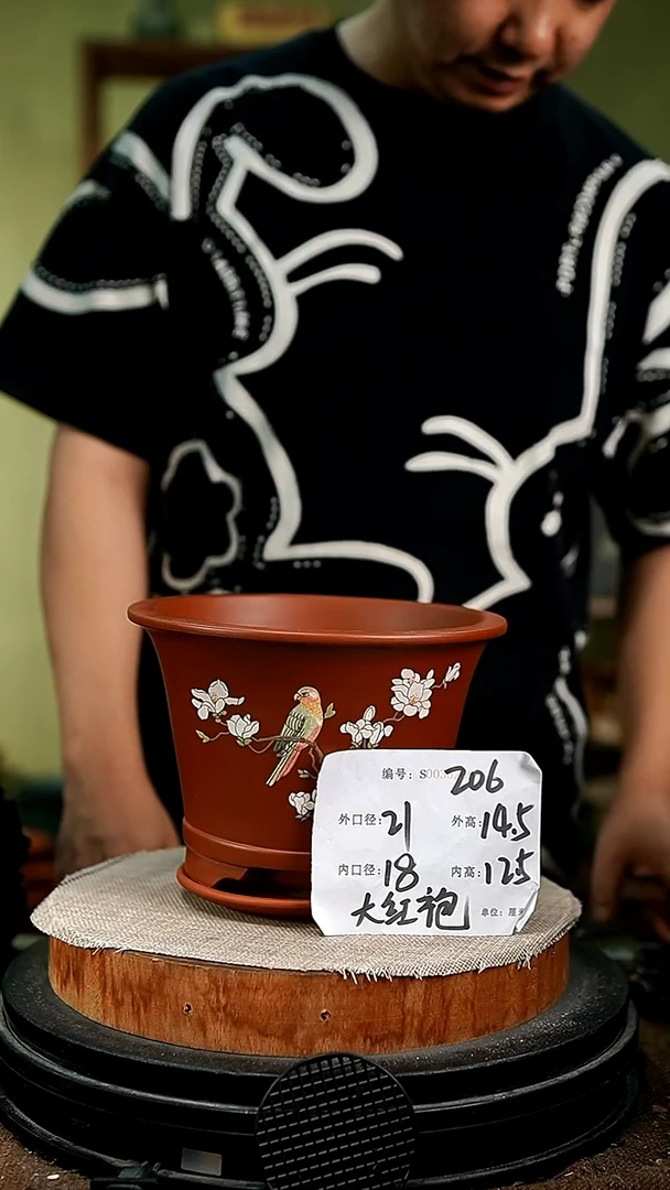 紫砂花盆花卉园艺206+z