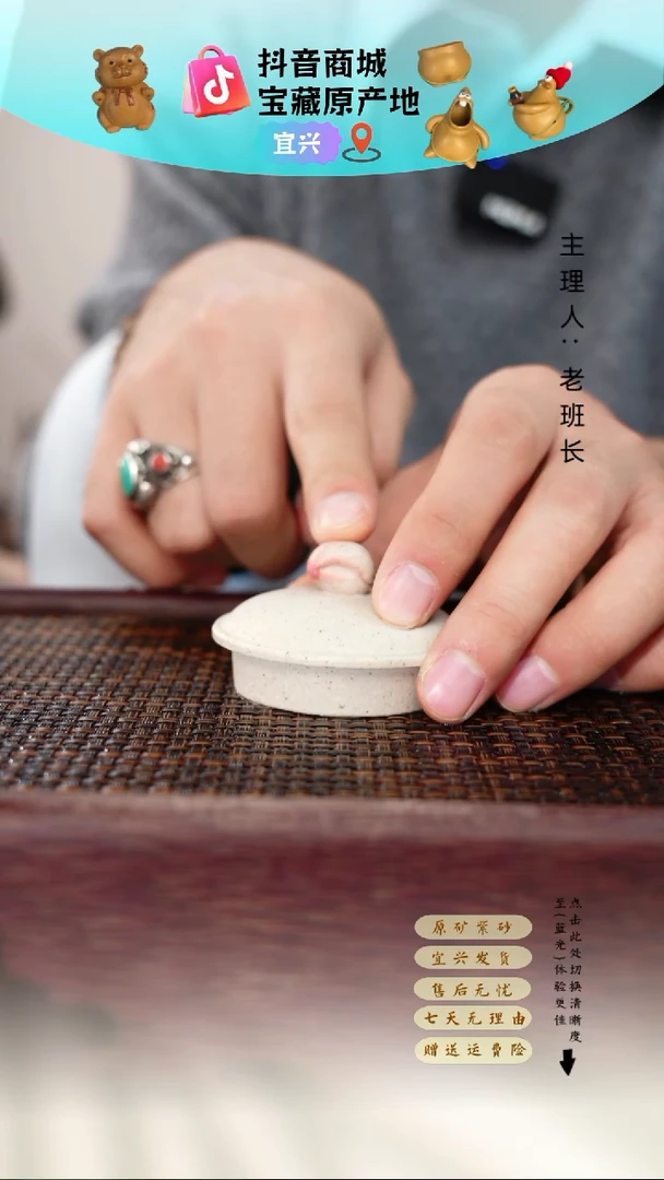 茶壶紫砂紫砂 壶