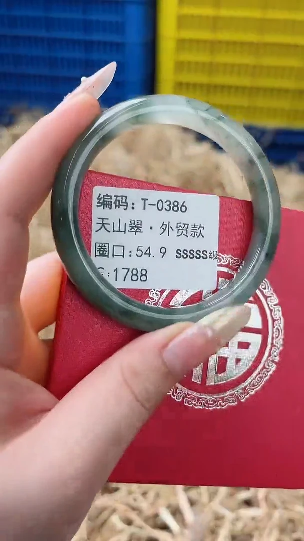 未镶嵌手镯石英质玉T-0386