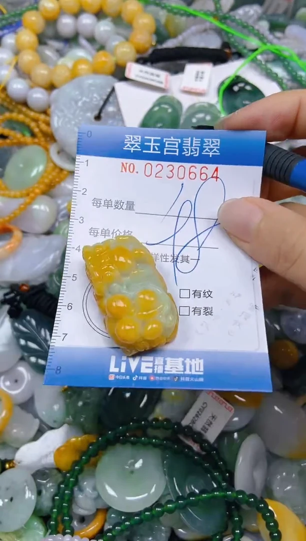 颈饰未镶嵌翡翠闪购C0230664