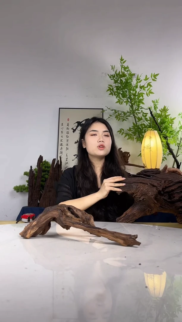 小**学拍这个定向编号20